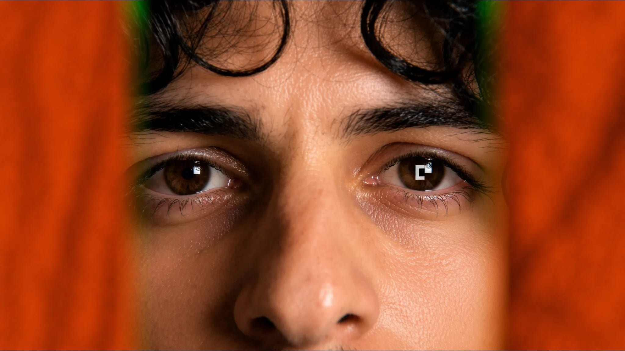 The Iris — Extreme close-up · Leone